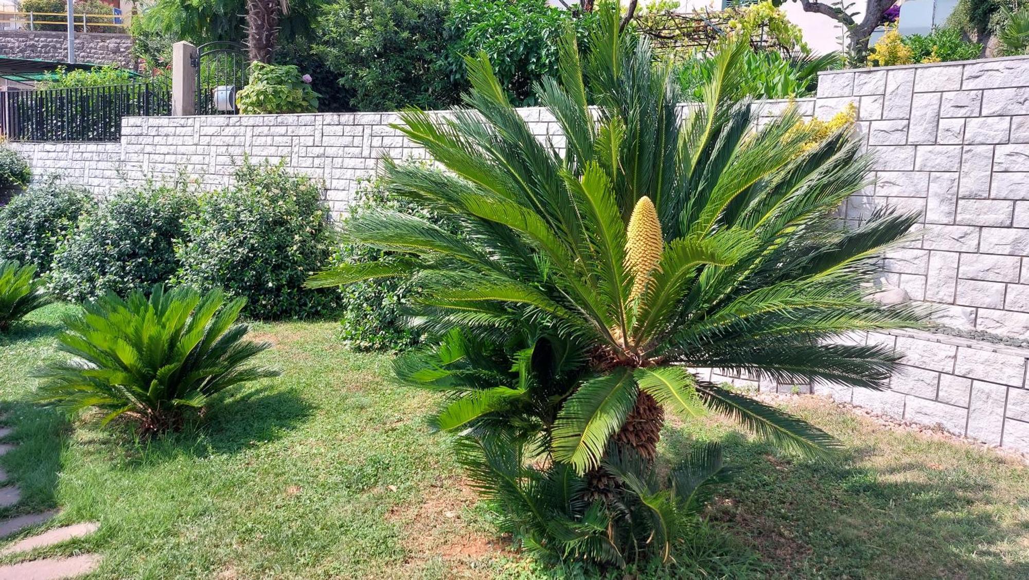 Apartmán Opatija Centar Exteriér fotografie